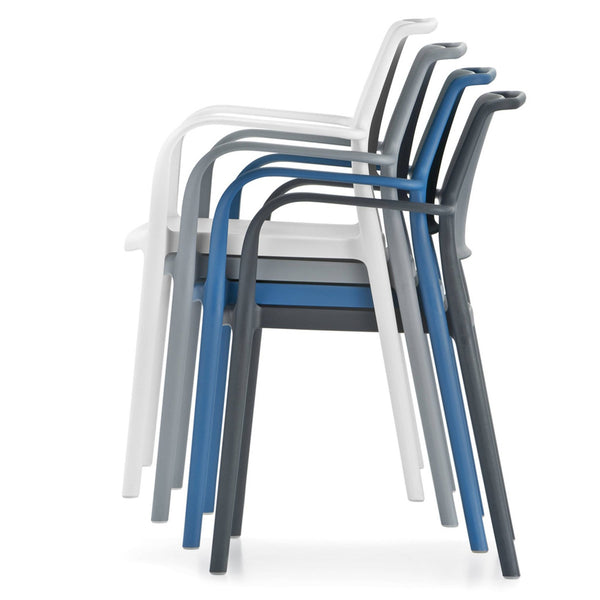 Ara Dining Armchair - TB Contract Furniture PEDRALI