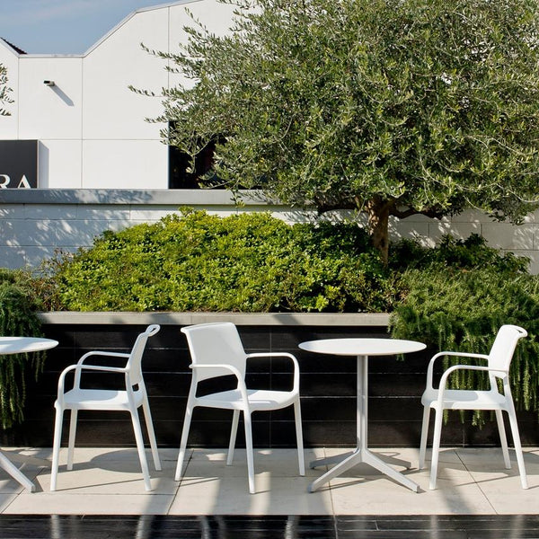 Ara Dining Armchair - TB Contract Furniture PEDRALI