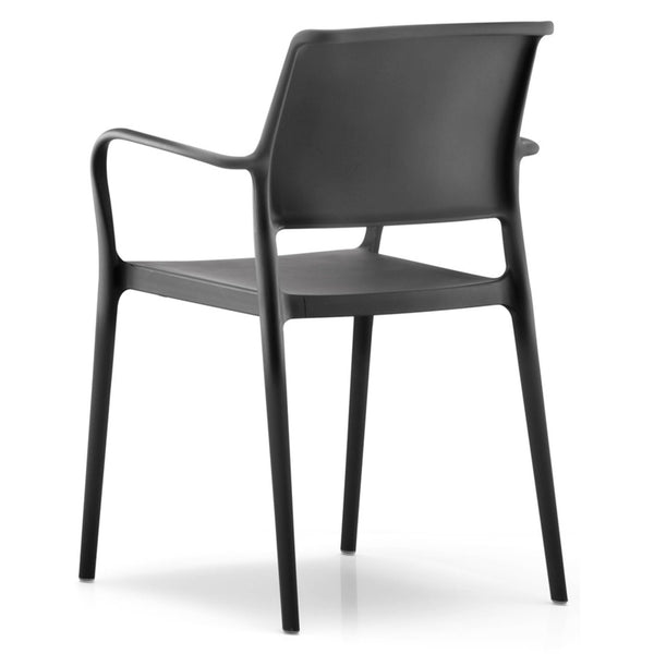 Ara Dining Armchair - TB Contract Furniture PEDRALI