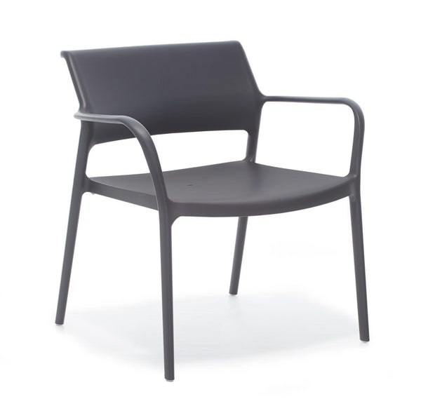 ARA Lounge Chair - TB Contract Furniture PEDRALI
