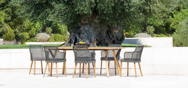 EMMA Dining Armchair - TB Contract Furniture VARASCHIN