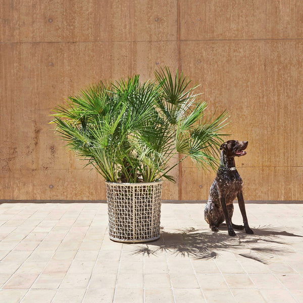 EMMA Flower Pot - TB Contract Furniture Varaschin