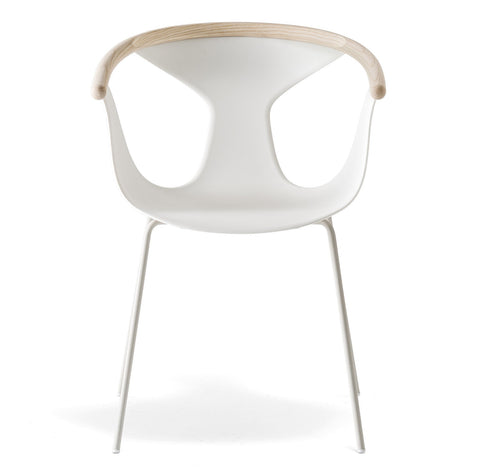 FOX Dining Armchair PPE - TB Contract Furniture