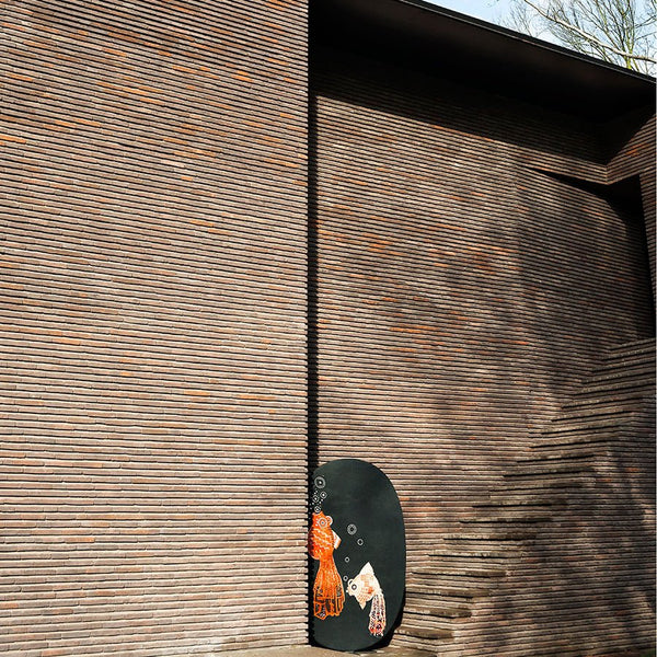 NEBULA Poissons Screen - TB Contract Furniture TACCHINI