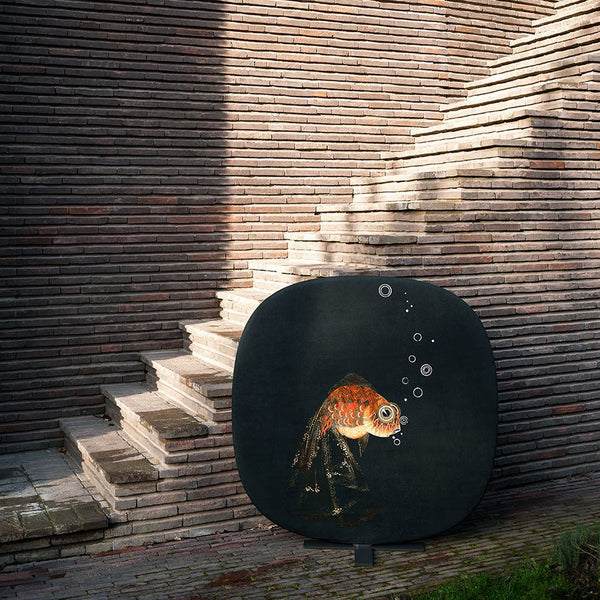 NEBULA Poissons Screen - TB Contract Furniture TACCHINI